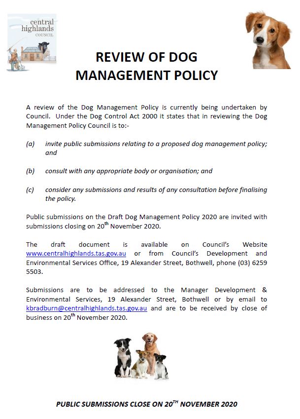 Dogs Central Highlands Council